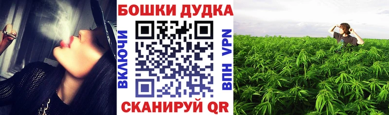 Виды наркотиков купить Гаджиево COCAIN  Псилоцибиновые грибы  Бошки Шишки  ГАШ 