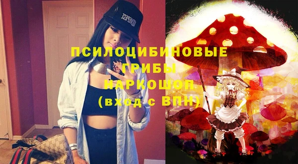 молекула духа Баксан